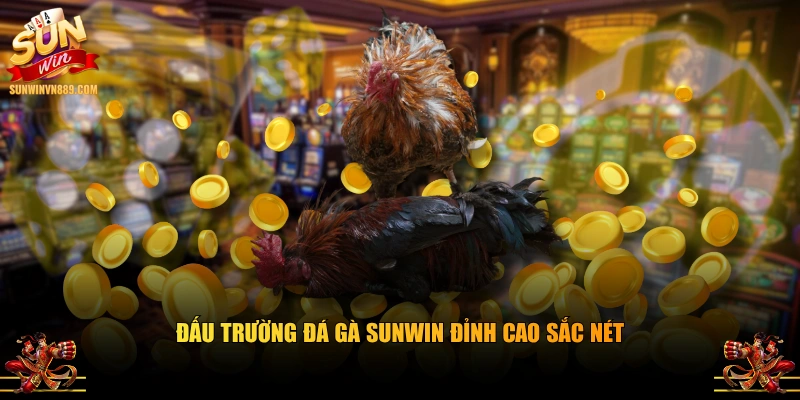 Đấu trường đá gà SUNWIN đỉnh cao sắc nét