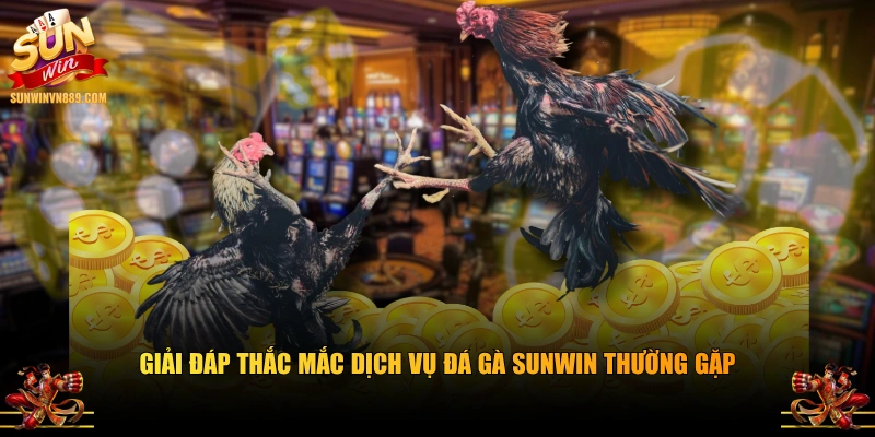Giải đáp thắc mắc dịch vụ đá gà SUNWIN thường gặp